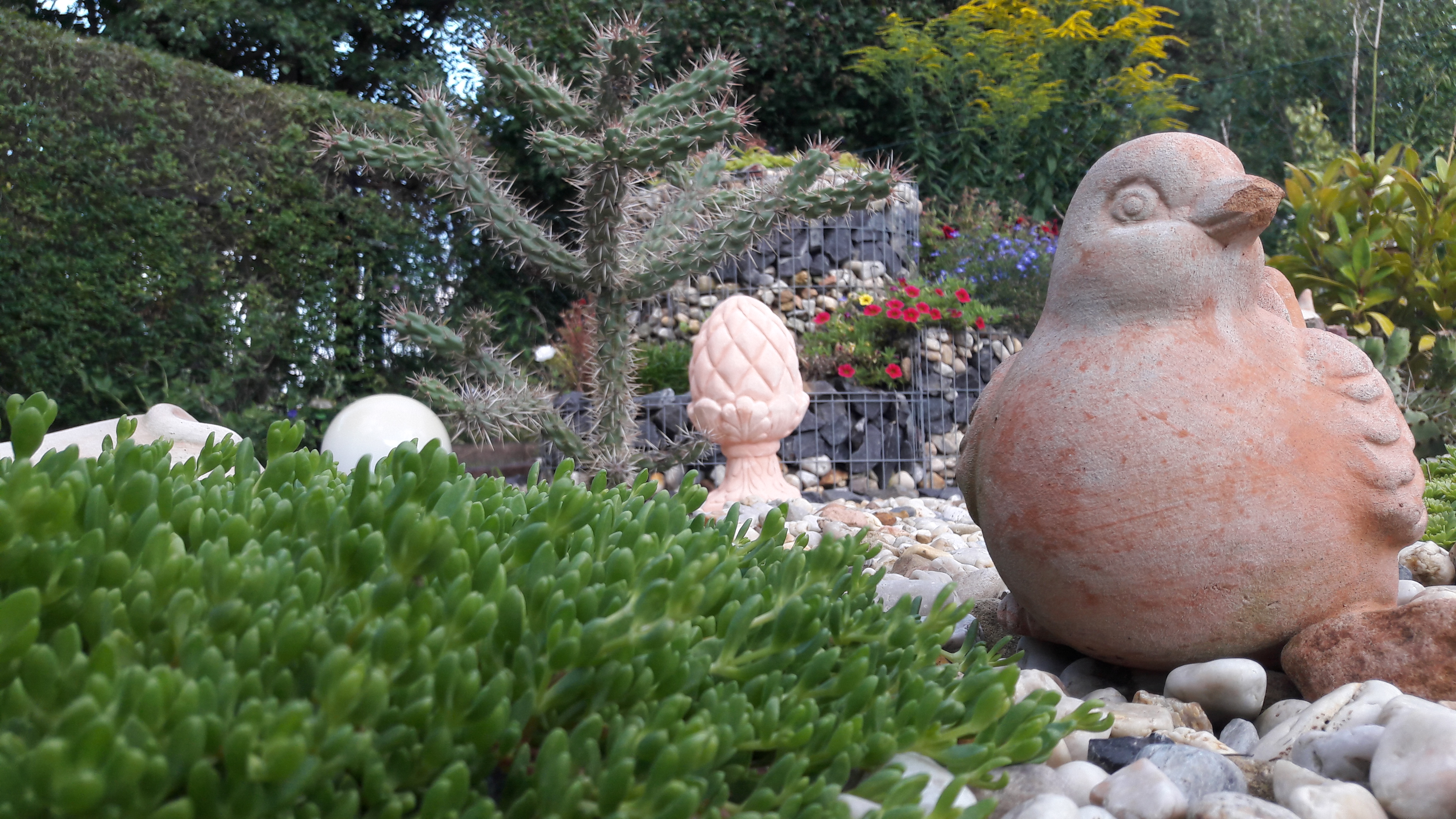 Ein Blick aus unserem Steinbeet